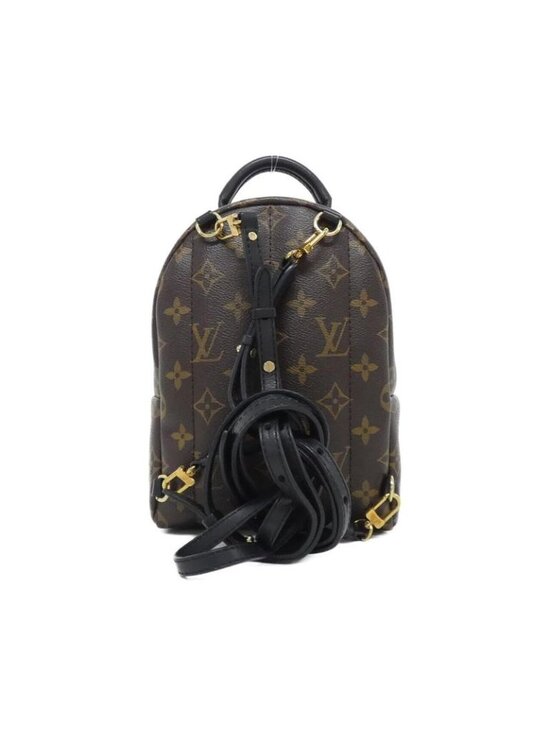 Louis Vuitton Monogram World Tour Palm Spring Backpack Mini Sac main image 6